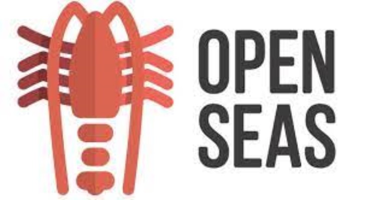 Open Seas