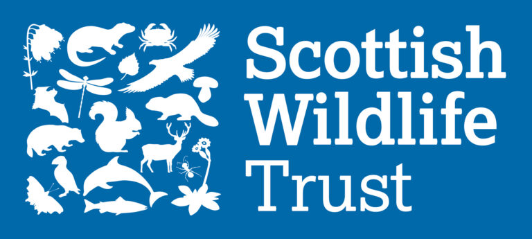 swt logo 2945c horizontal reverse (1)